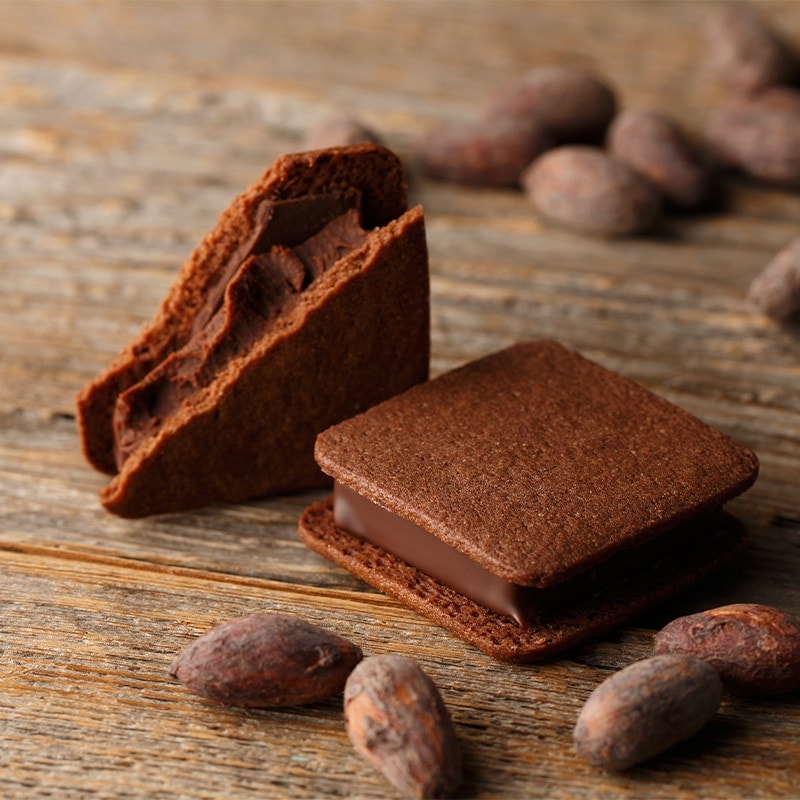 7_000000000502.jpg?1765964382