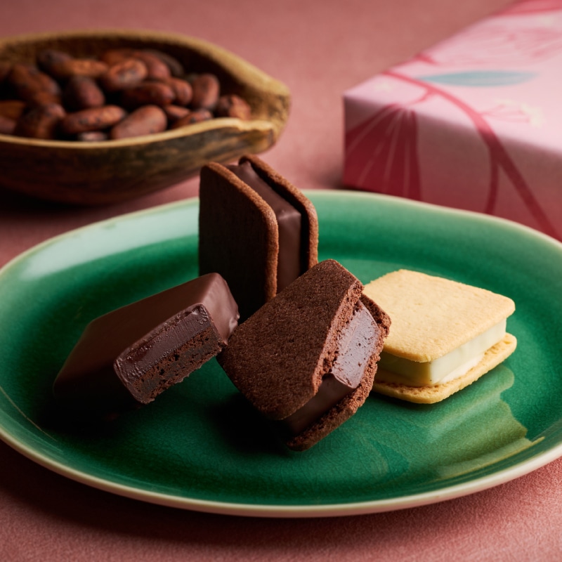 ショコラ 000000000421_fHeQglq.png