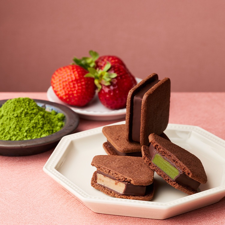 ショーコラ・スプリングセット8個入 VANILLABEANS公式オンラインショップ