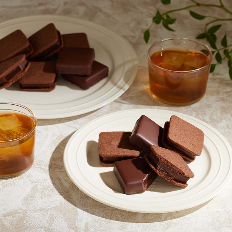 ショコラさま専用 リピート割引 VANILLABEANS チョコレート ギフト バニラビーンズ 公式