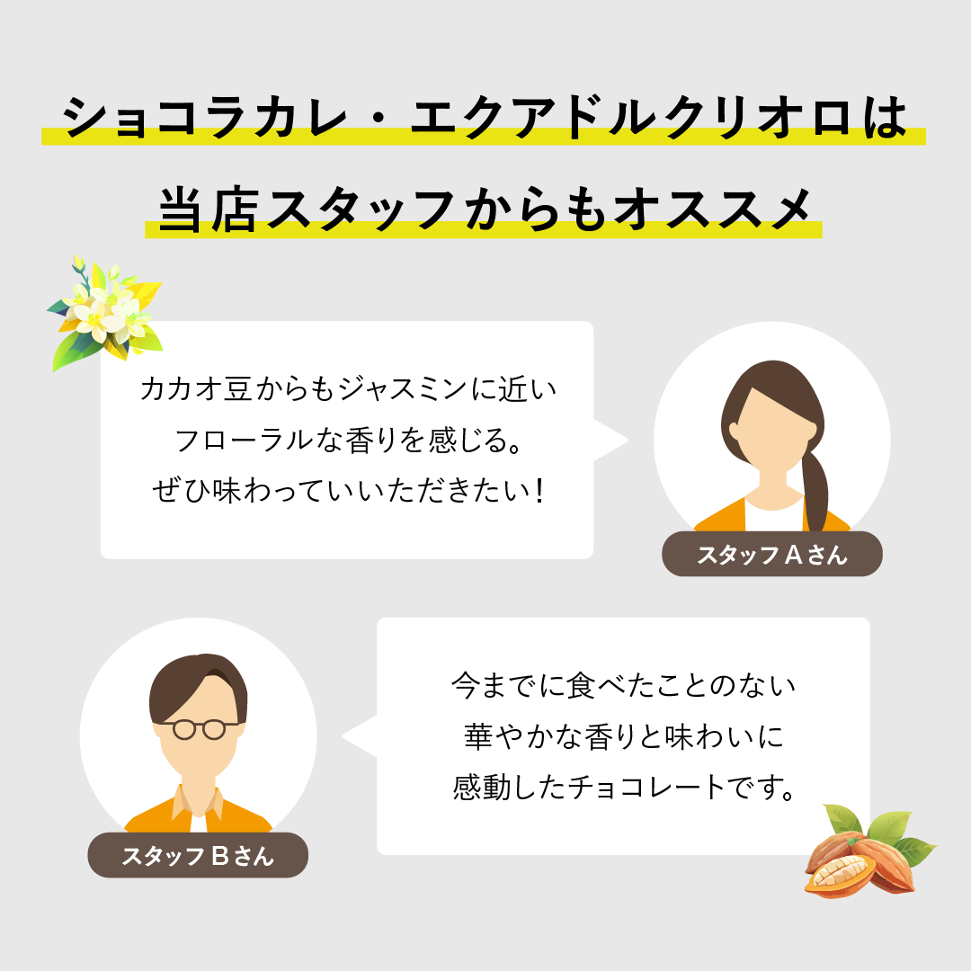 ショコラカレ・エクアドルクリオロ VANILLABEANS公式オンラインショップ