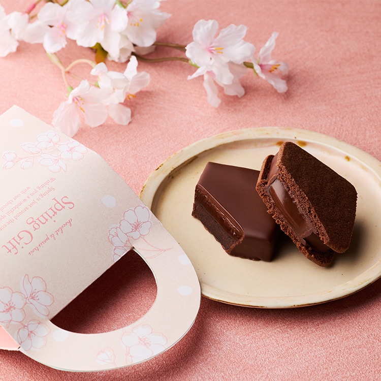 スプリングプチギフトバッグ 2個入 ショーコラ パリトロ VANILLABEANS バニラビーンズ 横浜 チョコレート