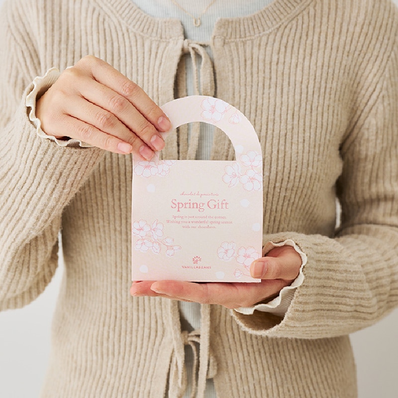 スプリング プチギフトバッグ 2個入 VANILLABEANS公式オンラインショップ