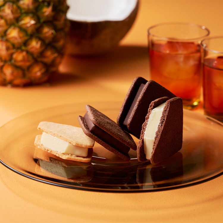 ショーコラ サマーギフト VANILLABEANS公式オンラインショップ