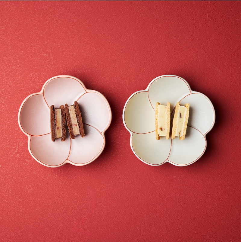 新春福箱2026【午】 VANILLABEANS公式オンラインショップ