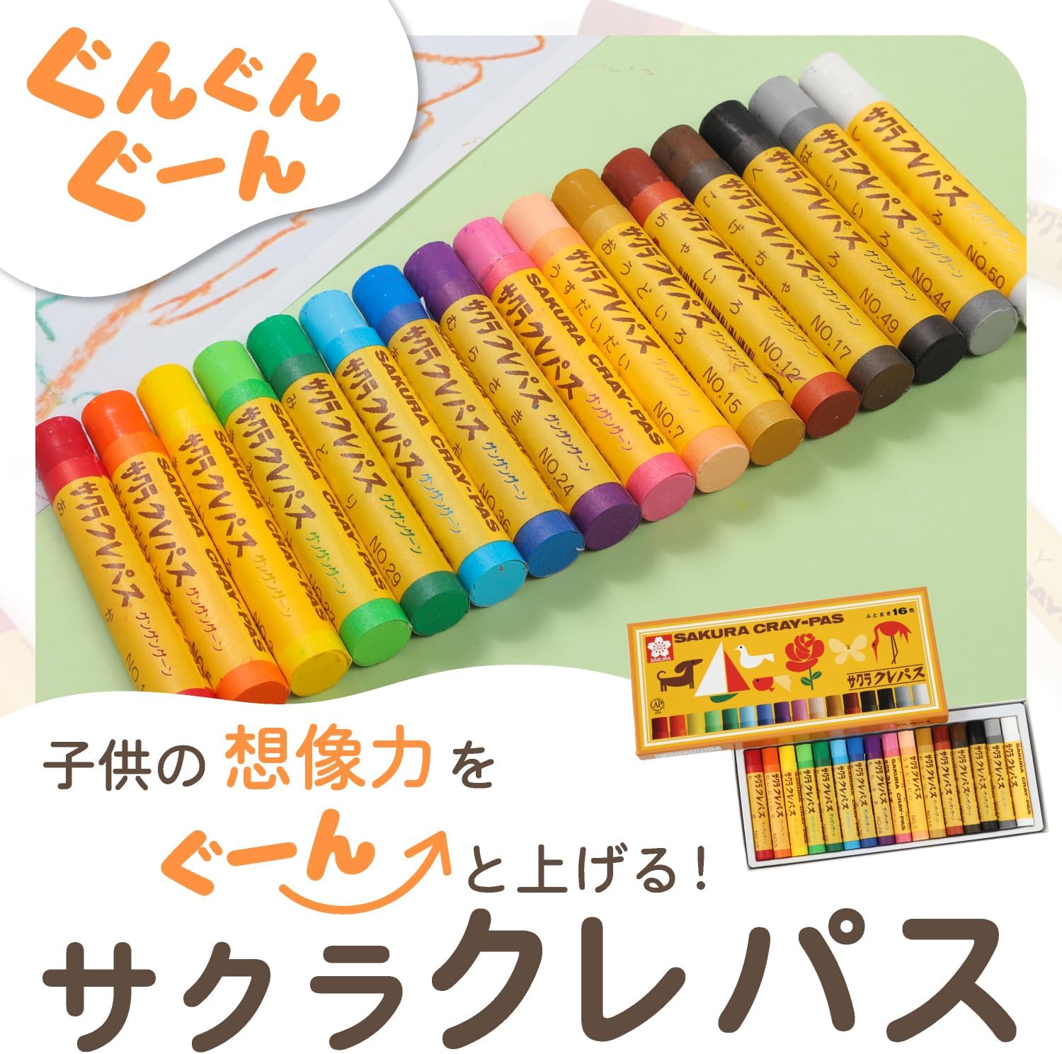 鉢ごと発送】人気のチタノタ12種セット【ネームタグ付】 匿名配送【鉢