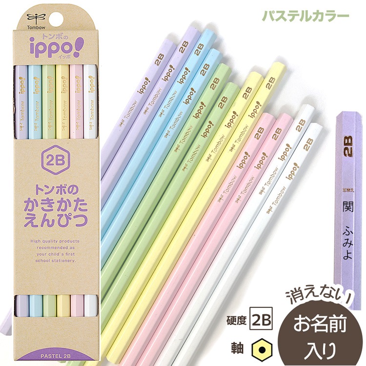 パステル鉛筆 132本 Amazon.co.jp: ポリクロモス色鉛筆 132 ライトフレッシュ