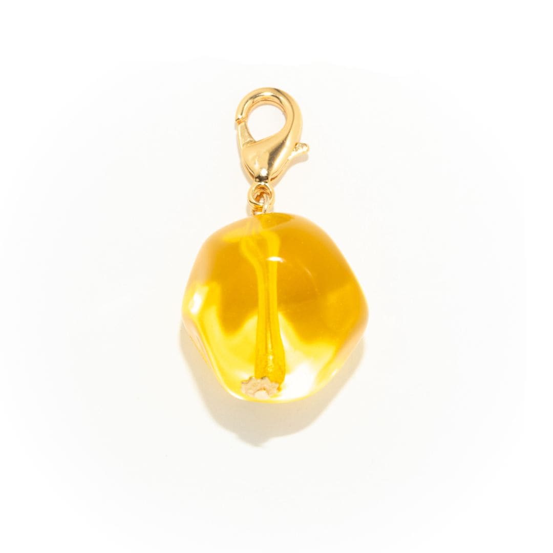 すべての商品 | セシル・エ・ジャンヌ オンラインショップ