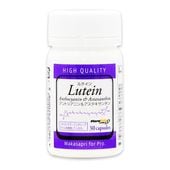 Wakasapri for Pro. ꡼ ƥ & 