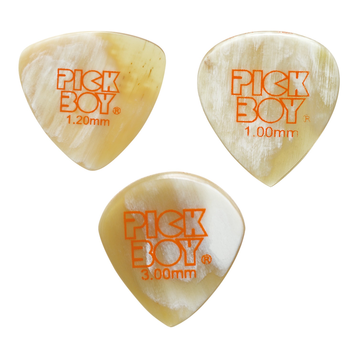 4_000000002729.jpg?1709774252