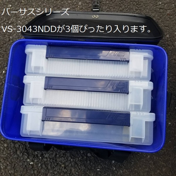 DSTYLE バッカン ブルー ディスタイル 青
