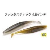 RAID JAPAN / 쥤ɥѥ󡡥ե󥿥ƥå 4.8