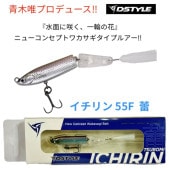 DSTYLEǥ롡 55F 鲡ڴָ10OFF