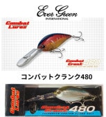 EVERGREEN / С꡼󡡥Хåȥ480