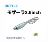DSTYLE / ǥ  ⥶2.5FECOǧۡ