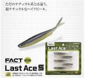 EVERGREEN/С꡼FACT饹ȥ 86SFECOǧ