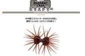 IMAKATSU / ���ޥ��ġ�����٥륯��� ���饹�ȥޡ����ġ��ȥ󥫥顼��FECOǧ���