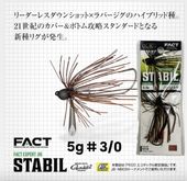 ���С����꡼�󡡥����ӥ롡5.0���3/0��FECO)