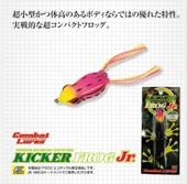 EVERGREEN/���С����꡼�󡡥��å����ե��å�Jr��FECOǧ���