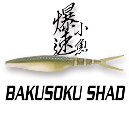 IMAKATSU / ���ޥ��ġ��Х���������å� 5���������FECOǧ���