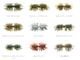 IMAKATSU / ���ޥ��ġ�Hairy Spider KUJALA 160/ �إ��꡼���ѥ����� ������顡��FECOǧ���