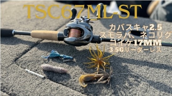 TEX/�ƥå�����STAUT/�������ȡ�TSC67ML-ST
