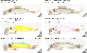 HMKL/�ϥ󥯥롡 K-I Mac50/�������ޥå� 50