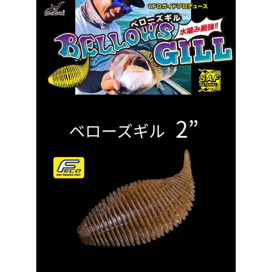 GEECRACK / ��������å���BELLOWS��GILL2�ɡ��٥��������� 2���������FECOǧ���