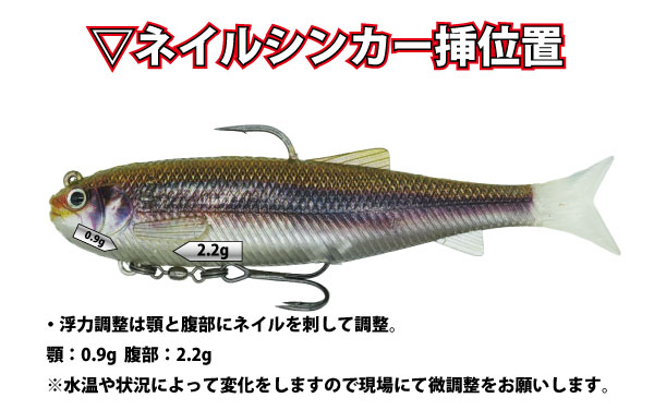 DSTYLE / �ǥ��������� �����������饹����٥��� 145 ��FECOǧ���