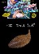GEECRACK / ��������å���BELLOWS��GILL5.8�ɡ��٥��������� 5.8�����
