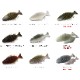 IMAKATSU/���ޥ��ġ��ϥɥ륮�� 5���������Fecoǧ���