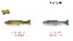 IMAKATSU/���ޥ��ġ��ϥɥ륹���ޡ�3�������3�ĥꥢ�ꥺ���Fecoǧ���