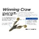 DSTYLE/���ǥ��������롡Winning Craw3.6�� �����˥󥰥����� 3.6�����