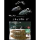 NORIES/���Υ꡼�����ե�åץ��롡5�����