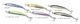 HMKL �ϥ󥯥롡�ѥ�ɥ�ޥ��å�50