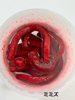 WILD��PORK/�磻��ɥݡ������磻��ɥ��ȥ졼�ȡ�DS