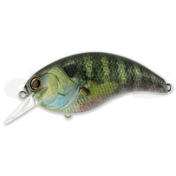 deps / �ǥץ���EVOKE4.0������������4.0