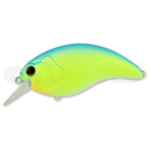 deps / �ǥץ���EVOKE4.0������������4.0