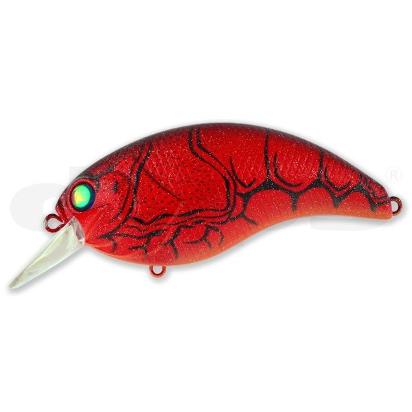 deps / �ǥץ���EVOKE4.0������������4.0