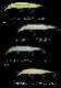 NORIES /�Υ꡼�����쥤������ߥΡ� MID 110 HF