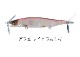 DAIWA / �����GUSTNADO �� �����ȥ͡��� 70S������ӥ��顼
