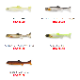 IMAKATSU/���ޥ��ġ��ϥɥ륹���ޡ� 2��������ꥢ�륫�顼��Fecoǧ���