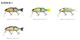 IMAKATSU/���ޥ��ġ��Х������ɥ���˥������֡�