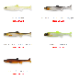 IMAKATSU/���ޥ��ġ��ϥɥ륹���ޡ� 2.4��������ꥢ�륫�顼��Fecoǧ���