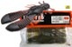 RAID JAPAN / �쥤�ɥ���ѥ󡡥�������󥯡�4�����