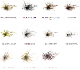 RAID JAPAN / �쥤�ɥ���ѥ󡡥������ޡ�Type KIWAMI��1.3�硡(FECOǧ��)��SALE��