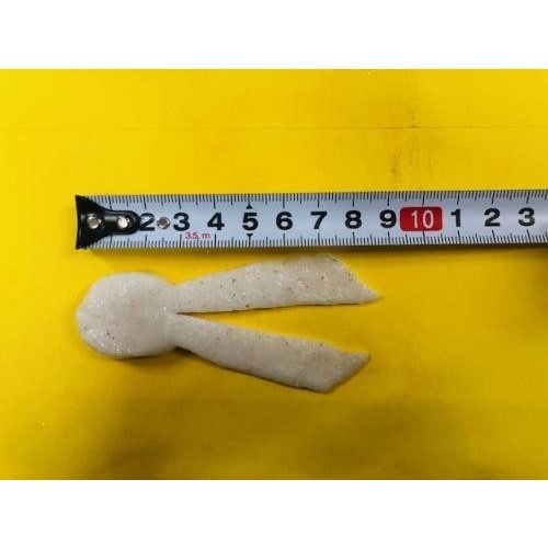 WILD��PORK/�磻��ɥݡ������������磻��ɥ��ǥ���