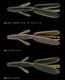 �Υ꡼����F-ESCAPE FLAG TWIN/��-���������ץե�å��ĥ����FECOǧ���