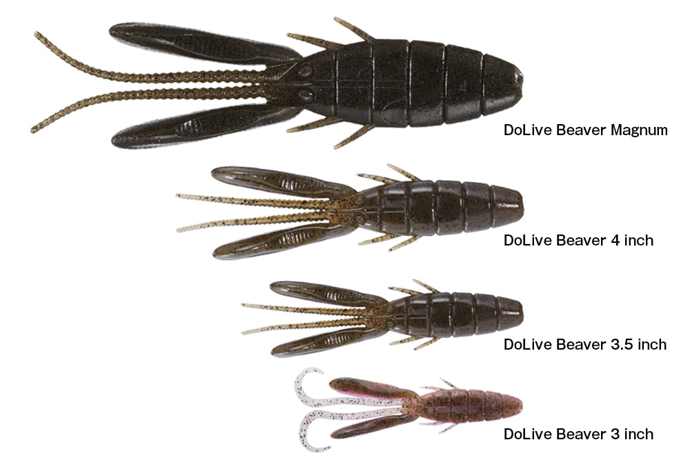 ���������ԡ����ɥ饤�֥ӡ��С��ޥ��ʥࡡ��Feco��