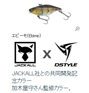 DSTYLE / �ǥ��������� �ƥ�������50��TN50 TypeD RS